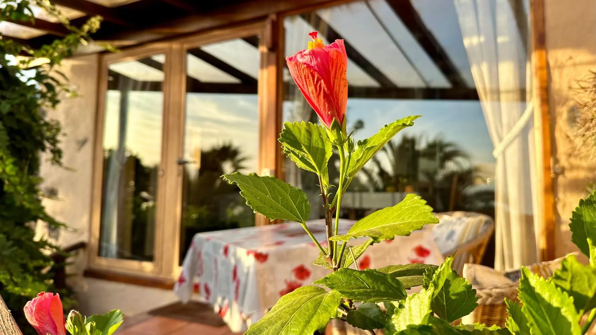 Finca Tenerife - Cozy Studio Mit Traumblick & Tropischem Garten Icod De Los Vinos 0*,
