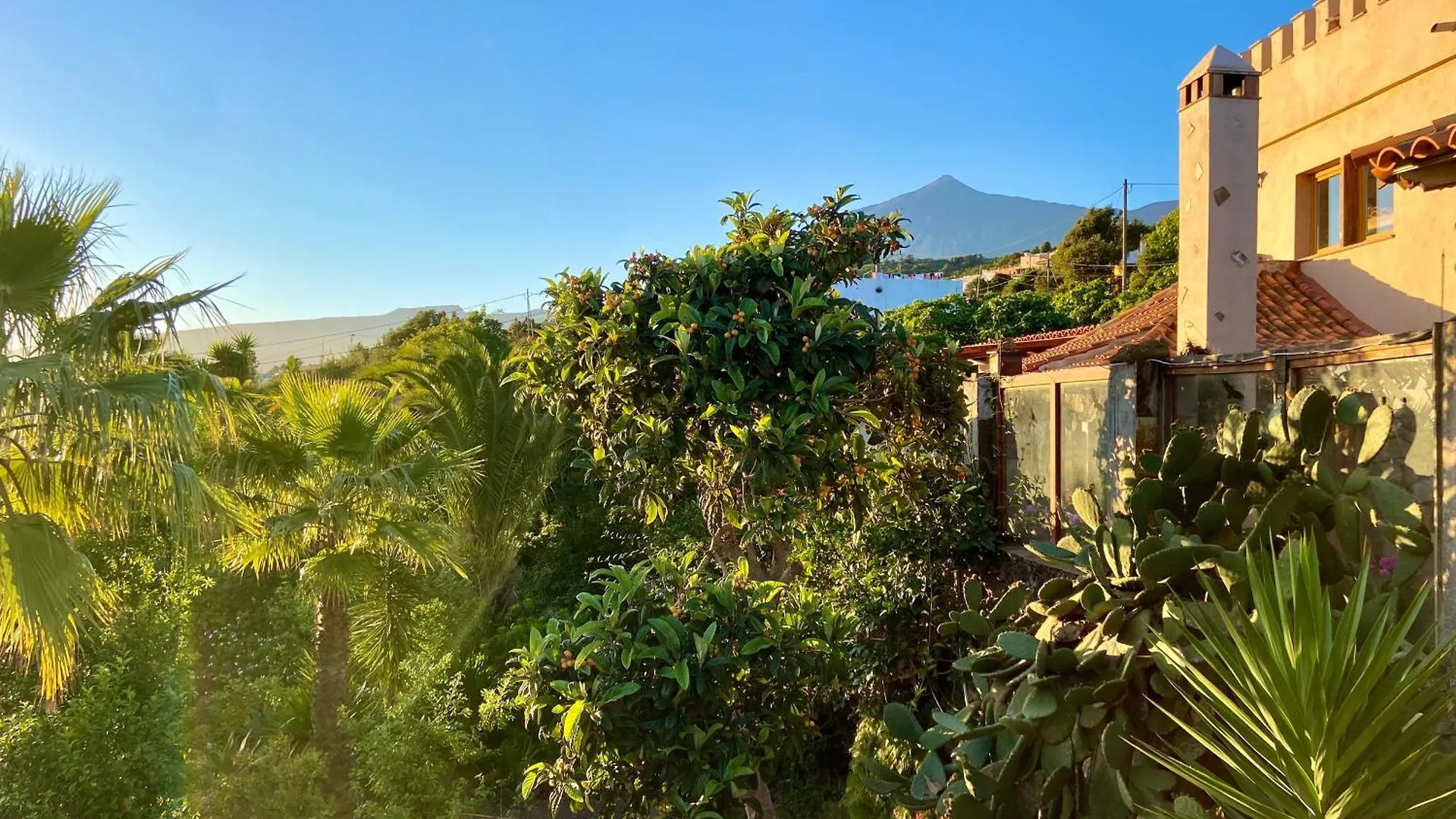 Finca Tenerife - Cozy Studio Mit Traumblick & Tropischem Garten Icod De Los Vinos