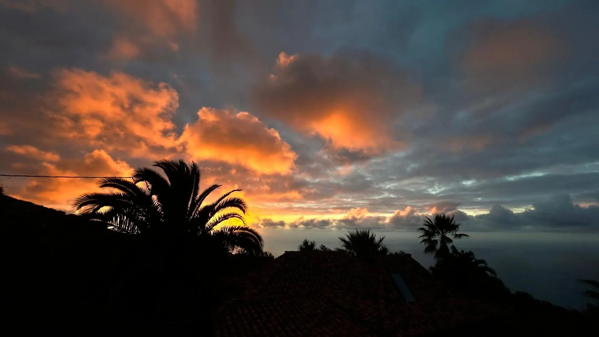 Finca Tenerife - Cozy Studio Mit Traumblick & Tropischem Garten Icod De Los Vinos Apartment