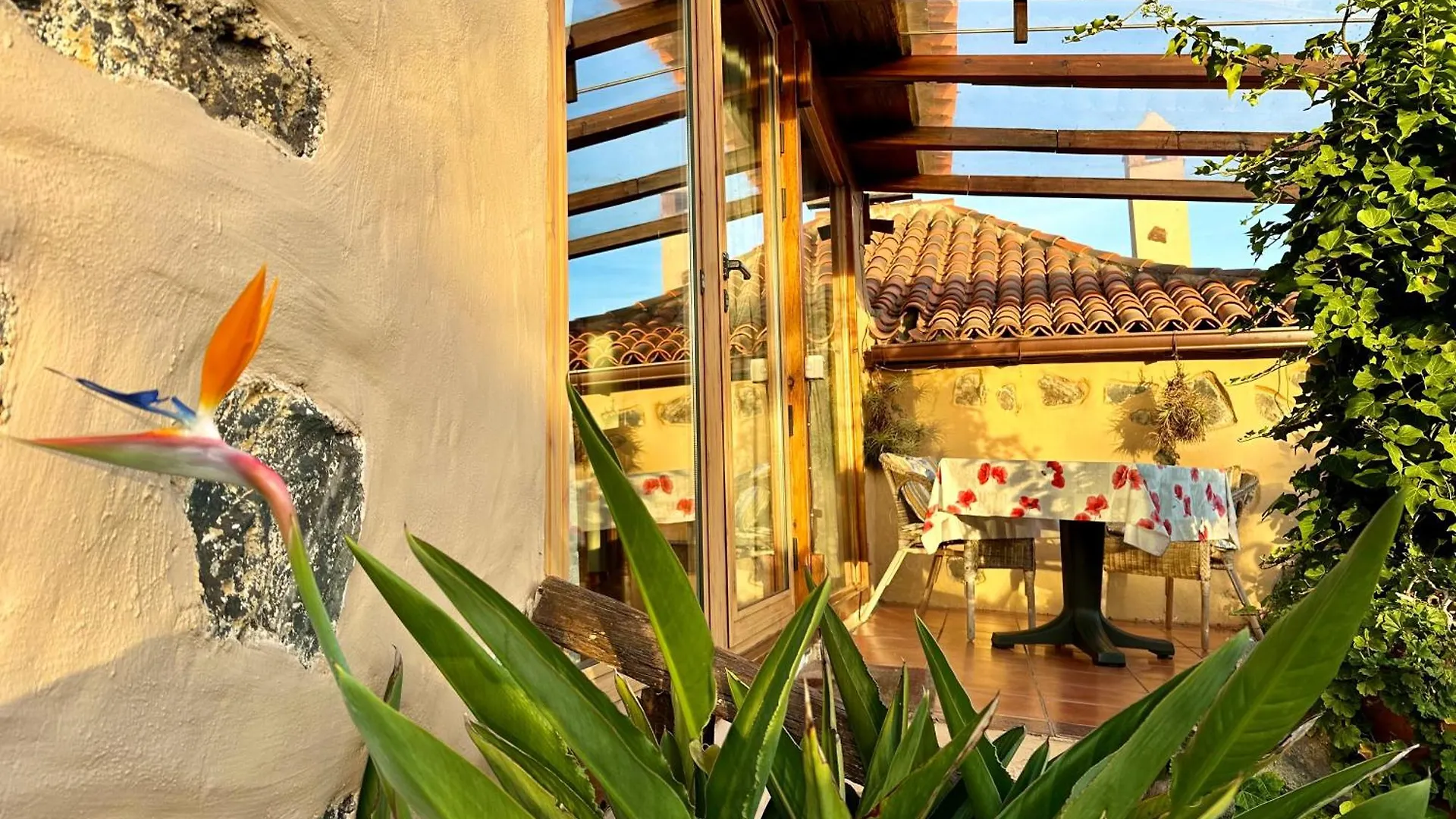 Finca Tenerife - Cozy Studio Mit Traumblick & Tropischem Garten Icod De Los Vinos Apartment