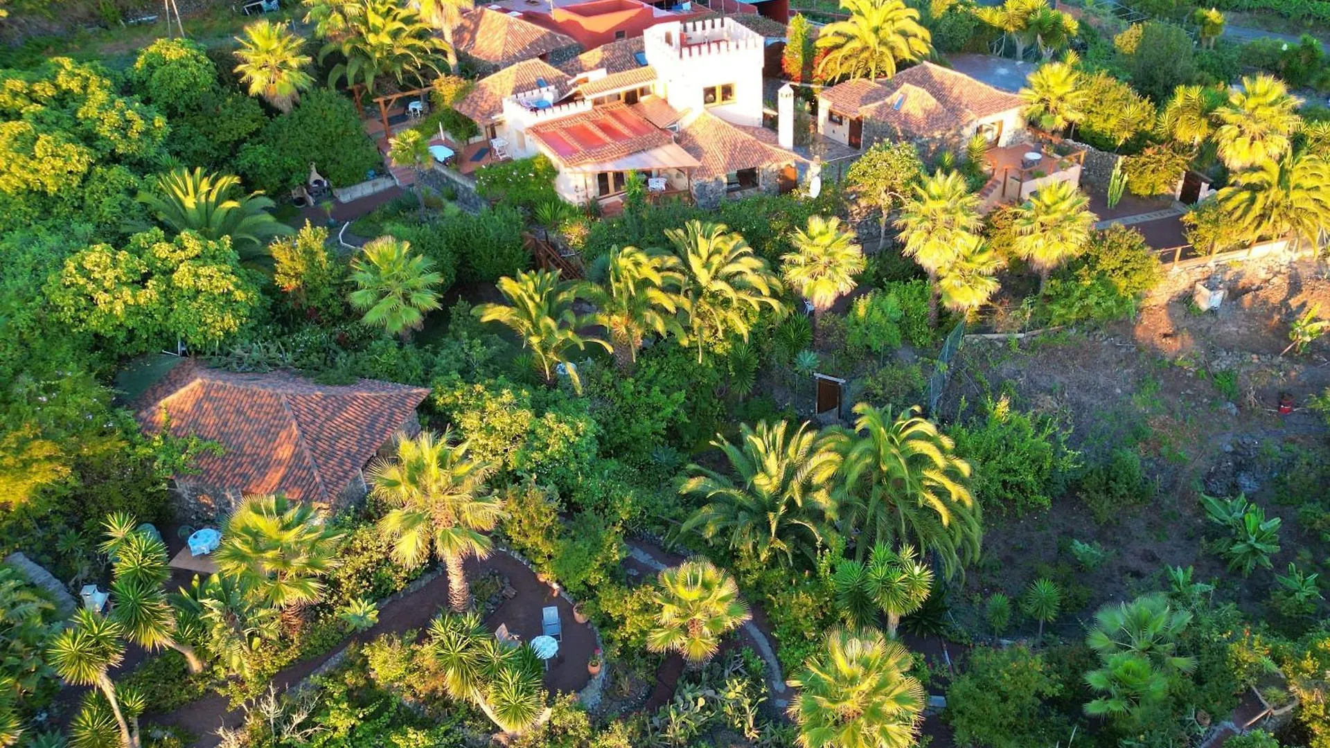 Finca Tenerife - Cozy Studio Mit Traumblick & Tropischem Garten Icod De Los Vinos Spain